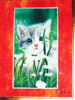 /album/galleria-fotografica/gatto-jpg/